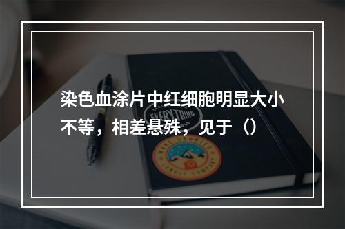 染色血涂片中红细胞明显大小不等，相差悬殊，见于（）