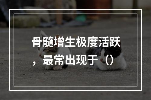 骨髓增生极度活跃，最常出现于（）