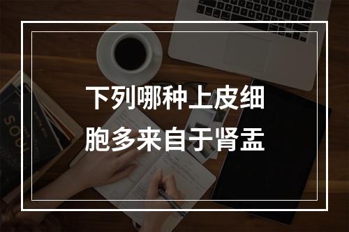 下列哪种上皮细胞多来自于肾盂