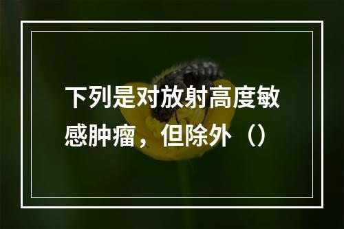 下列是对放射高度敏感肿瘤，但除外（）