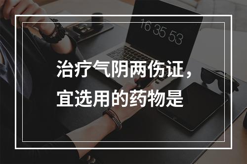 治疗气阴两伤证，宜选用的药物是