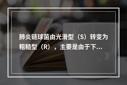 肺炎链球菌由光滑型（S）转变为粗糙型（R），主要是由于下列何