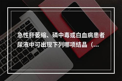 急性肝萎缩、磷中毒或白血病患者尿液中可出现下列哪项结晶（）