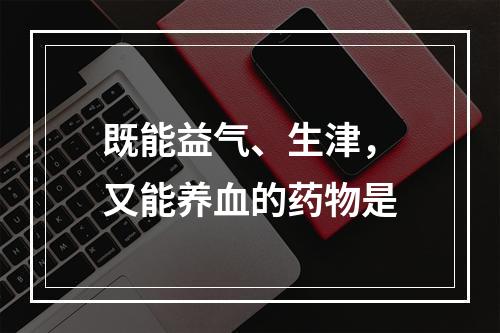 既能益气、生津，又能养血的药物是