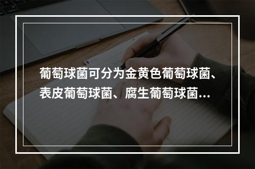 葡萄球菌可分为金黄色葡萄球菌、表皮葡萄球菌、腐生葡萄球菌三类