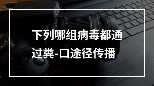 下列哪组病毒都通过粪-口途径传播