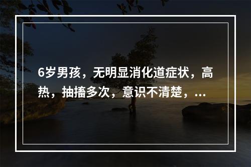 6岁男孩，无明显消化道症状，高热，抽搐多次，意识不清楚，送院