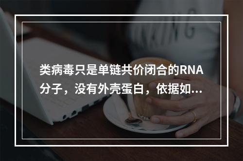 类病毒只是单链共价闭合的RNA分子，没有外壳蛋白，依据如下哪