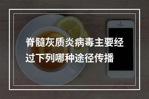 脊髓灰质炎病毒主要经过下列哪种途径传播