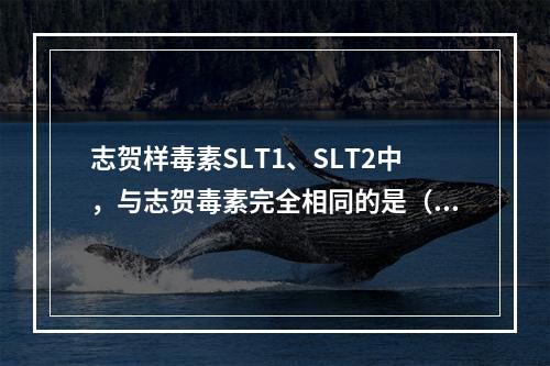 志贺样毒素SLT1、SLT2中，与志贺毒素完全相同的是（）