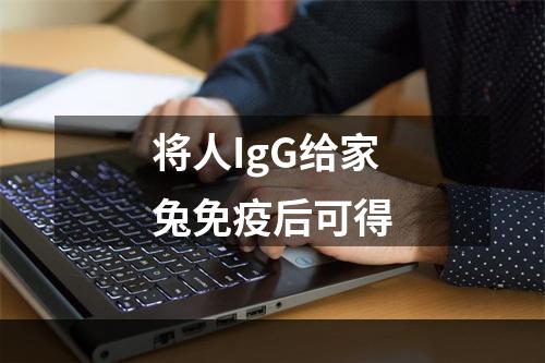 将人IgG给家兔免疫后可得