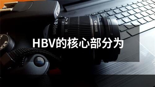 HBV的核心部分为