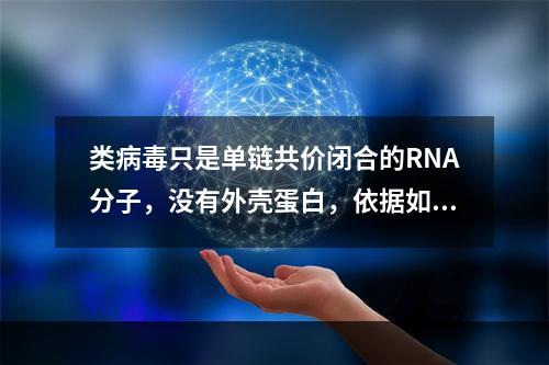 类病毒只是单链共价闭合的RNA分子，没有外壳蛋白，依据如下哪