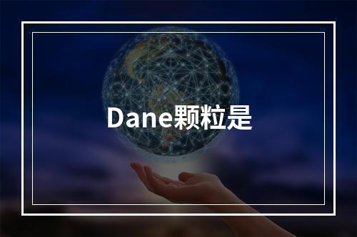 Dane颗粒是