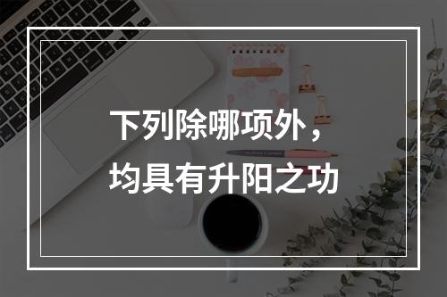 下列除哪项外，均具有升阳之功