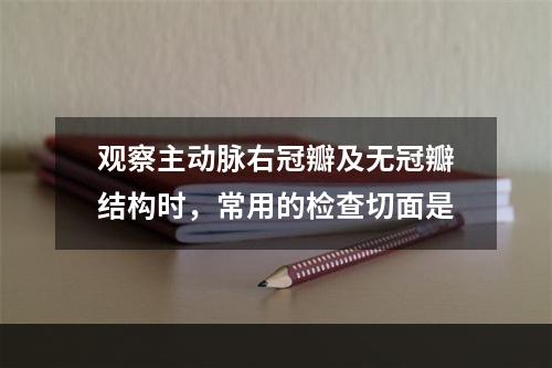 观察主动脉右冠瓣及无冠瓣结构时，常用的检查切面是