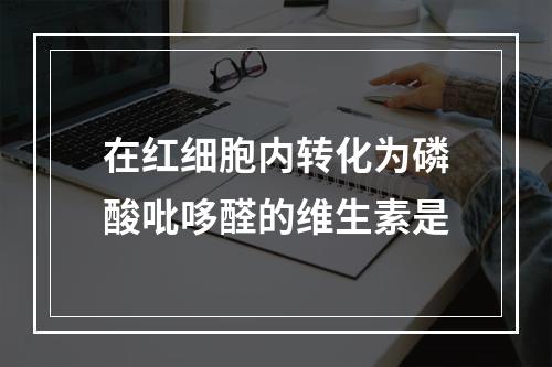 在红细胞内转化为磷酸吡哆醛的维生素是