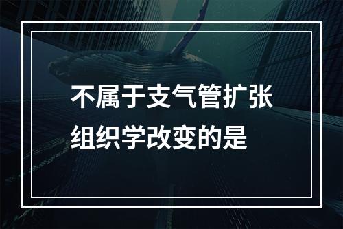 不属于支气管扩张组织学改变的是