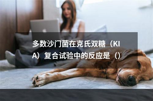 多数沙门菌在克氏双糖（KIA）复合试验中的反应是（）