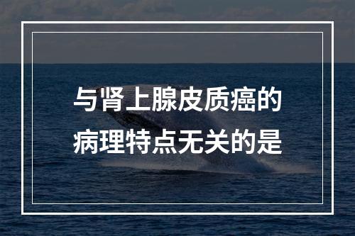 与肾上腺皮质癌的病理特点无关的是