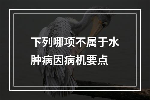 下列哪项不属于水肿病因病机要点