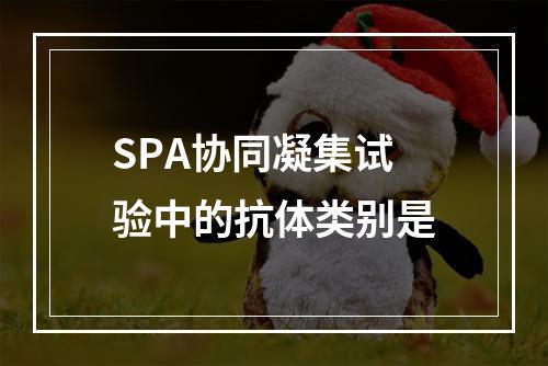 SPA协同凝集试验中的抗体类别是