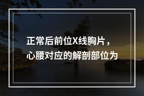 正常后前位X线胸片，心腰对应的解剖部位为