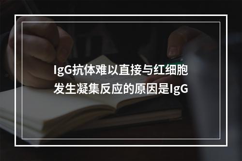 IgG抗体难以直接与红细胞发生凝集反应的原因是IgG