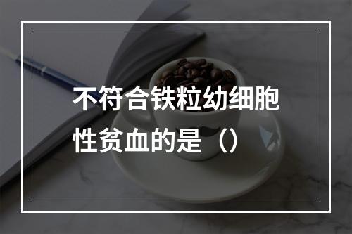 不符合铁粒幼细胞性贫血的是（）