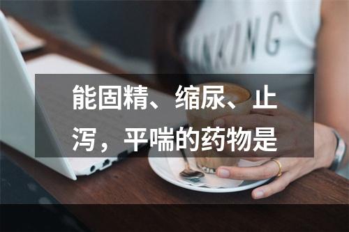 能固精、缩尿、止泻，平喘的药物是