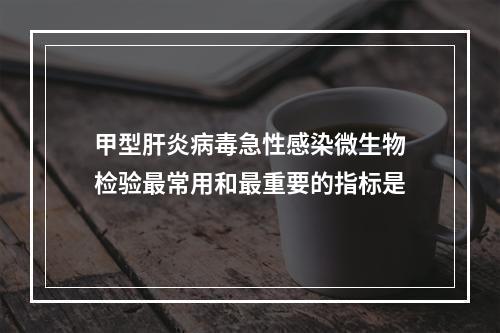 甲型肝炎病毒急性感染微生物检验最常用和最重要的指标是