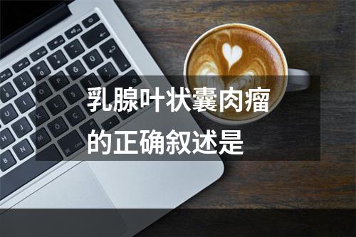 乳腺叶状囊肉瘤的正确叙述是