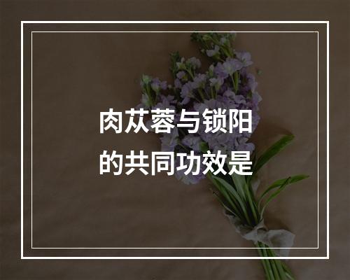 肉苁蓉与锁阳的共同功效是