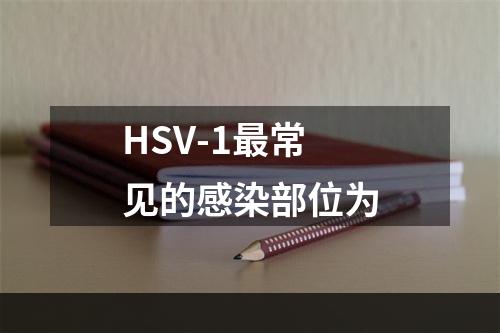 HSV-1最常见的感染部位为