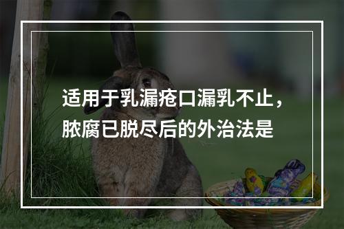 适用于乳漏疮口漏乳不止，脓腐已脱尽后的外治法是