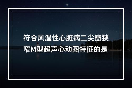 符合风湿性心脏病二尖瓣狭窄M型超声心动图特征的是