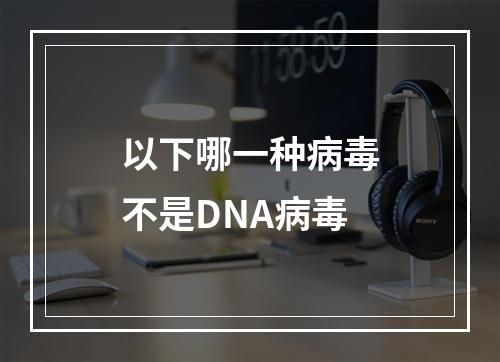 以下哪一种病毒不是DNA病毒