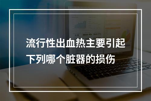 流行性出血热主要引起下列哪个脏器的损伤