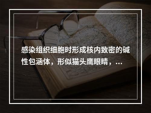 感染组织细胞时形成核内致密的碱性包涵体，形似猫头鹰眼睛，最可