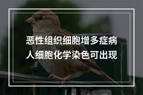 恶性组织细胞增多症病人细胞化学染色可出现