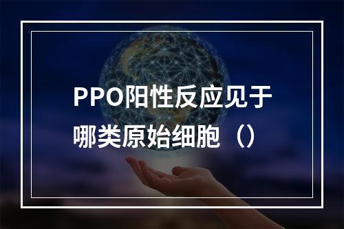 PPO阳性反应见于哪类原始细胞（）