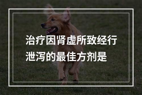 治疗因肾虚所致经行泄泻的最佳方剂是