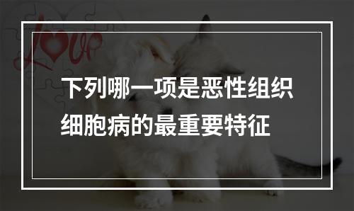 下列哪一项是恶性组织细胞病的最重要特征