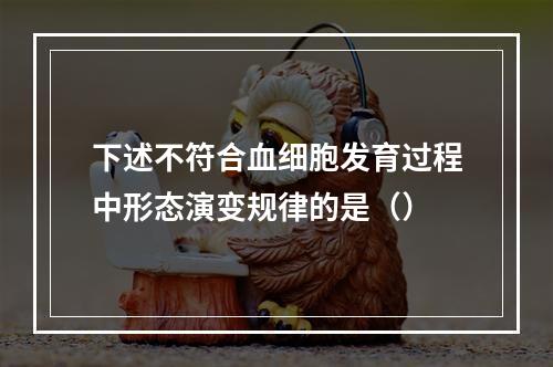 下述不符合血细胞发育过程中形态演变规律的是（）