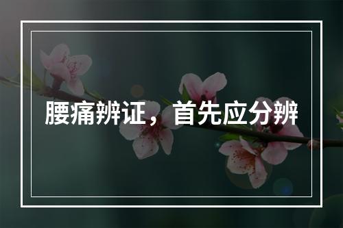 腰痛辨证，首先应分辨