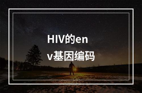 HIV的env基因编码