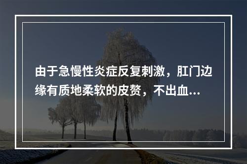 由于急慢性炎症反复刺激，肛门边缘有质地柔软的皮赘，不出血，无