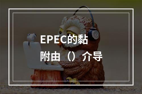 EPEC的黏附由（）介导