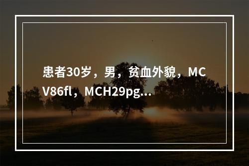 患者30岁，男，贫血外貌，MCV86fl，MCH29pg，M