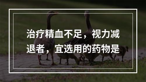 治疗精血不足，视力减退者，宜选用的药物是